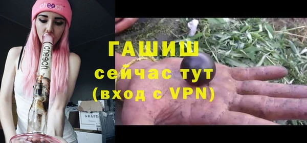 сатива Белокуриха