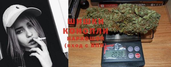 сатива Белокуриха