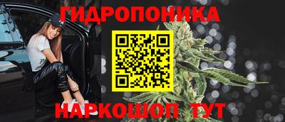 наркотики Кингисепп