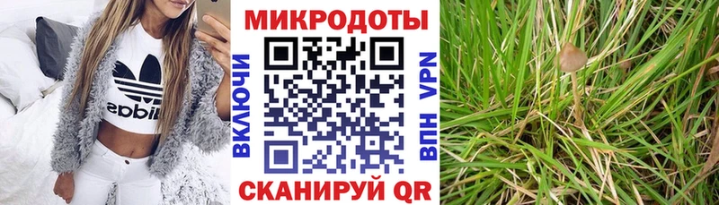 нарко площадка наркотические препараты как найти закладки кракен ссылки Корсаков Галлюциногенные грибы ЛСД