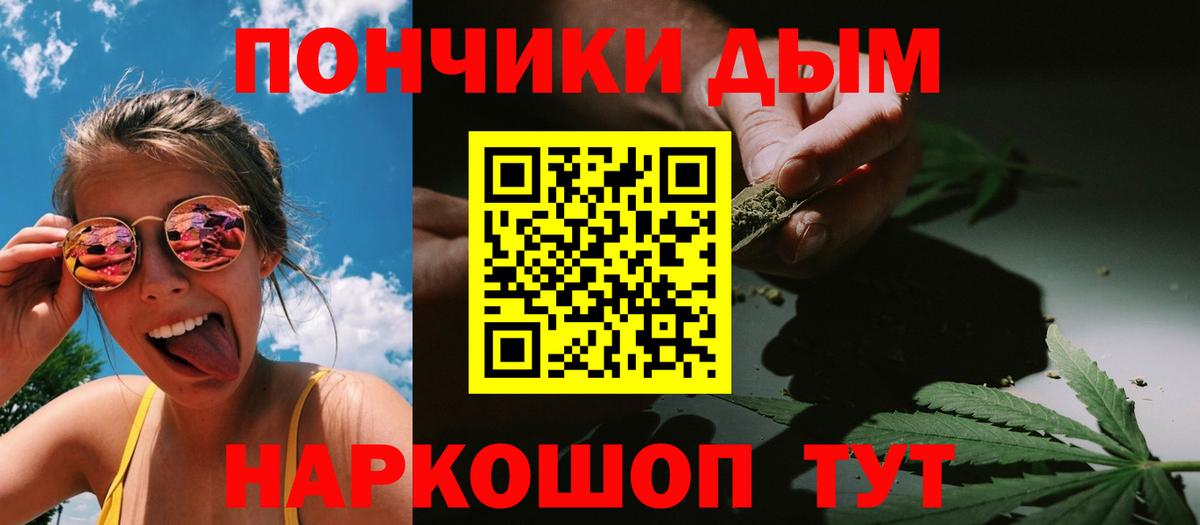 Шишки марихуана гибрид Корсаков